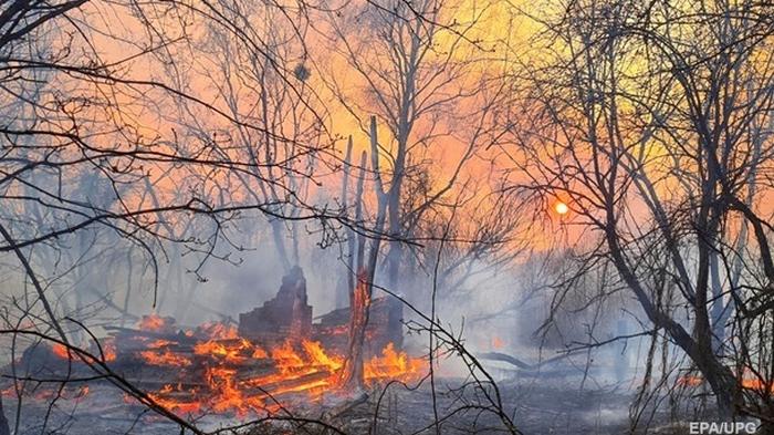 Кабмин выделил 45 млн на тушение пожаров под Чернобылем