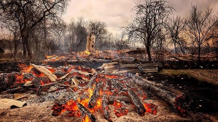 На Житомирщине лесной пожар уничтожил 40 домов