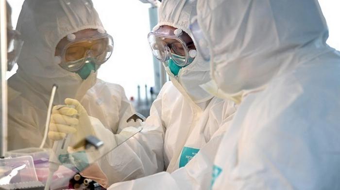 В США изучают потенциал коронавируса в качестве биологического оружия