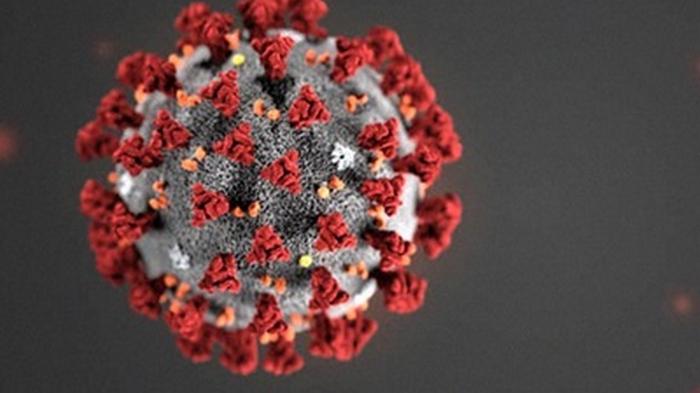 Ученые выделили 10 подтипов коронавируса