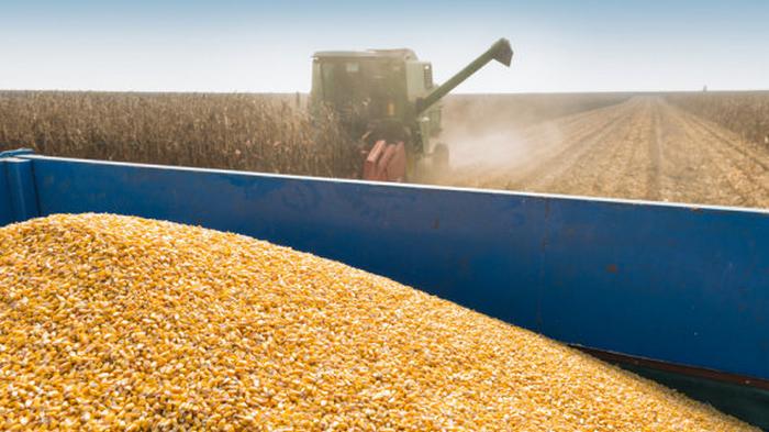 Украина побила рекорд экспорта зерна