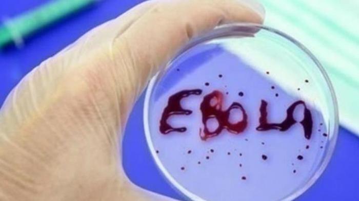 В Африке зафиксировали новую вспышку лихорадки Эбола