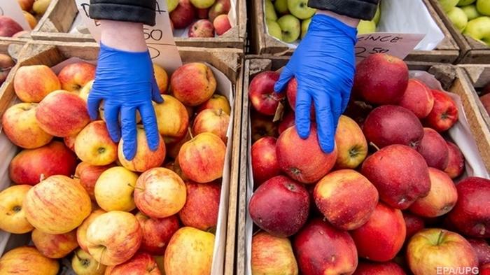 Украинские садоводы прогнозируют низкий урожай яблок