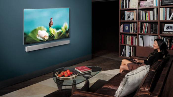 Как правильно купить телевизор в интернете