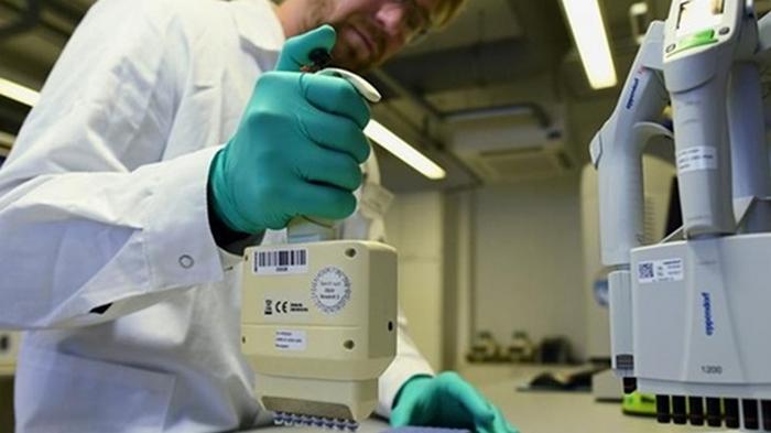 Ученые Израиля начали испытания пассивной вакцины от COVID