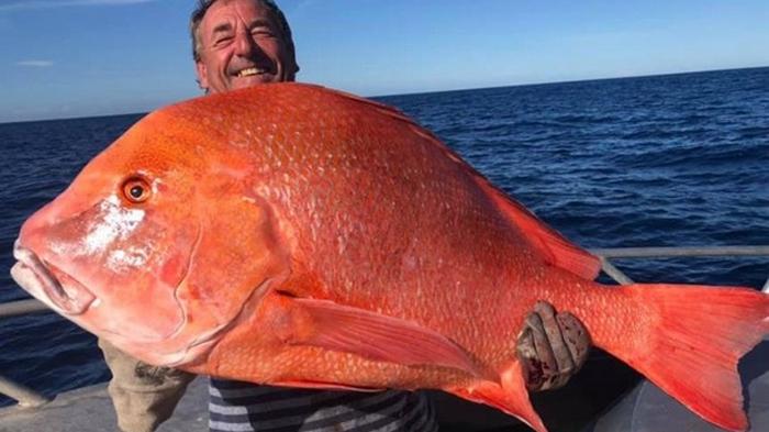 Австралиец поймал самую большую рыбу в жизни и отдал ее
