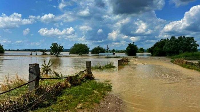 Наводнения на западе: Медики предупредили о тифе, гепатите А, дизентерии