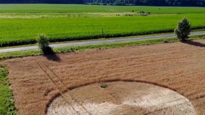 В Венгрии на поле появился загадочный круг (видео)