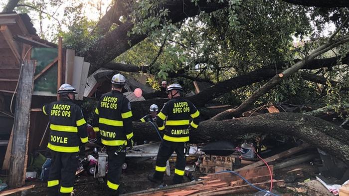 В США на гараж упало огромное дерево, пострадали 19 человек