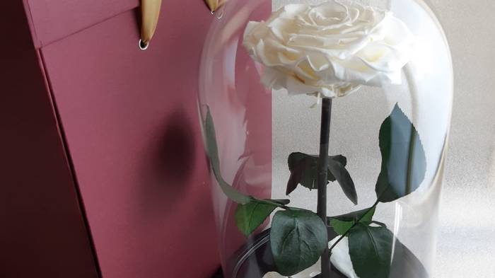 Роза в колбе - оригинальный подарок на любой праздник