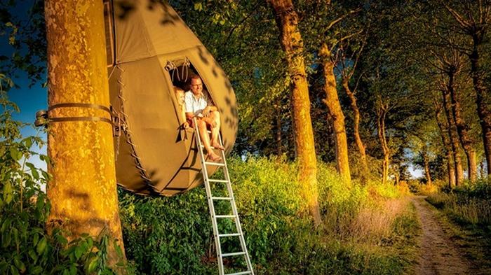 В Бельгии на деревьях появились палатки-капли (фото)