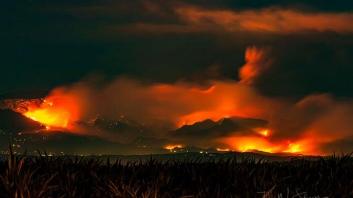 Калифорния в огне: в США возник крупный пожар (фото)
