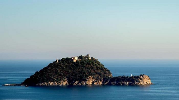 Сын экс-владельца Мотор Сич купил остров в Италии за €10 млн