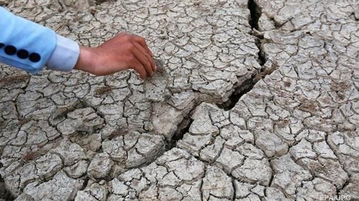 Во Франции июль стал самым засушливым месяцем за последние 60 лет