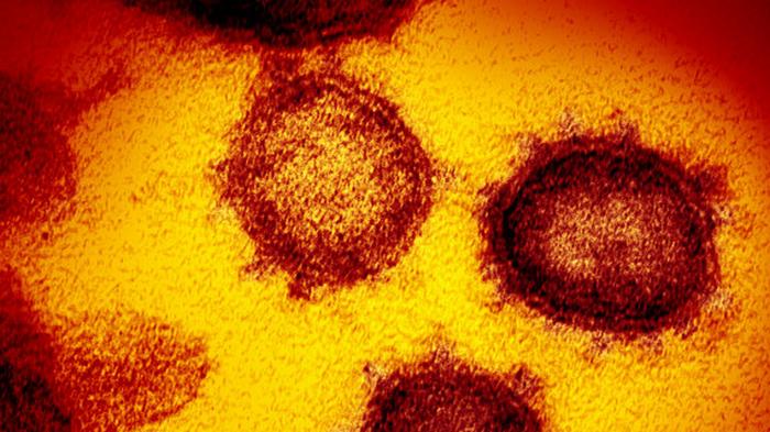 Ученые оценили летальность коронавируса в Испании, уточнили инкубационный период