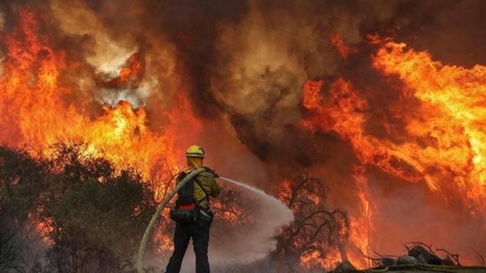 На пожарах в Калифорнии погибли три человека