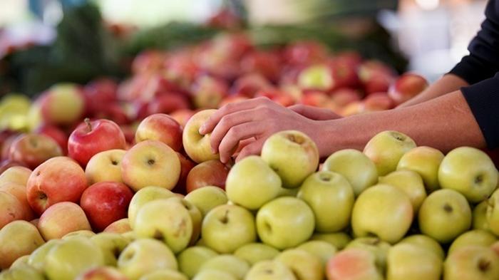 В Украине рекордно подешевели яблоки