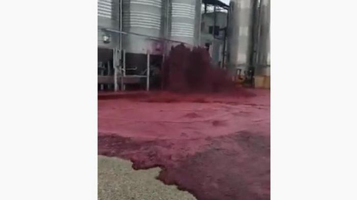 В Испании территорию завода затопило вином