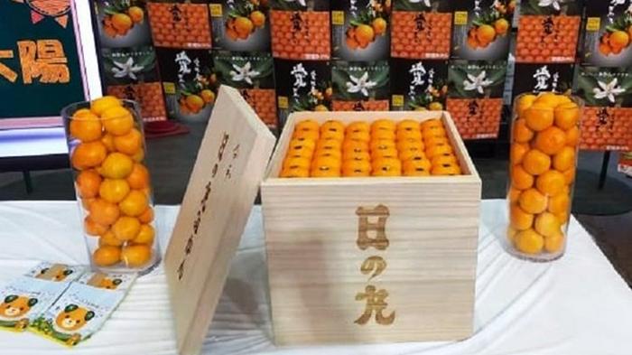 В Японии продали ящик мандаринов за миллион йен (фото)