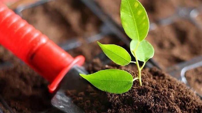 Торф для садоводства от компании «ЖитомирТорф»