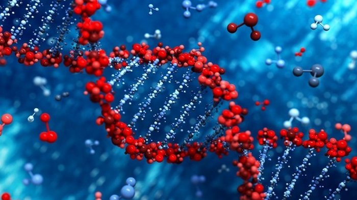 Стойкий иммунитет к COVID вырабатывается лишь у части переболевших - ученые