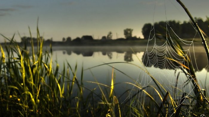 Гороскоп на неделю 22-28 ноября: все знаки зодиака