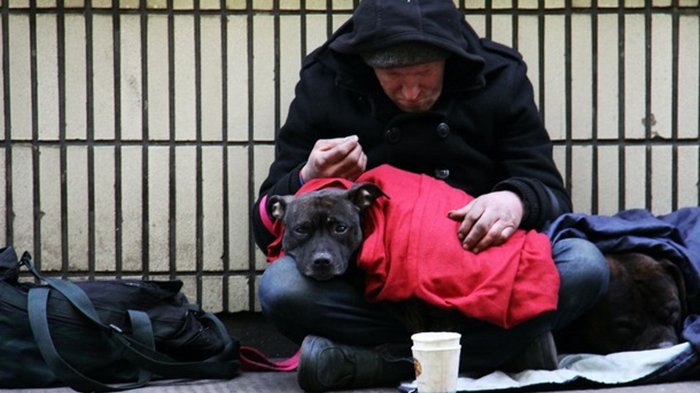 Бездомные Лондона смогут две недели пожить в отеле