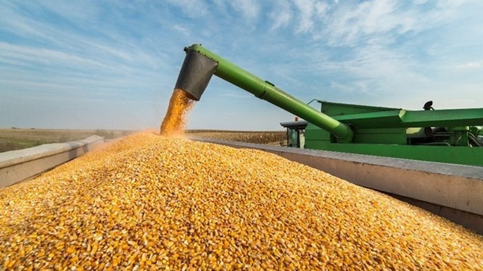 Аграриям снизили ставку НДС с 20% до 14%