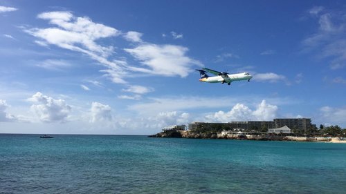 Кто считает Синт-Мартен одним из лучших мест для миграции?