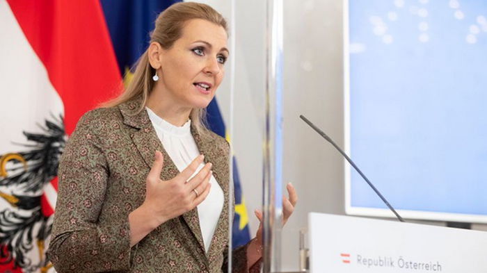 Австрийский министр ушла в отставку из-за обвинений в плагиате