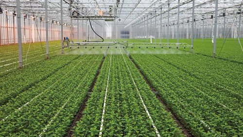 контроль климата в теплице