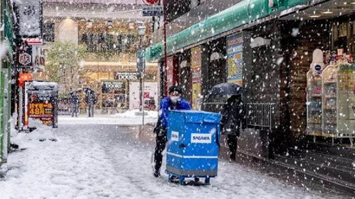 В Японии более 60 человек погибли при уборке снега