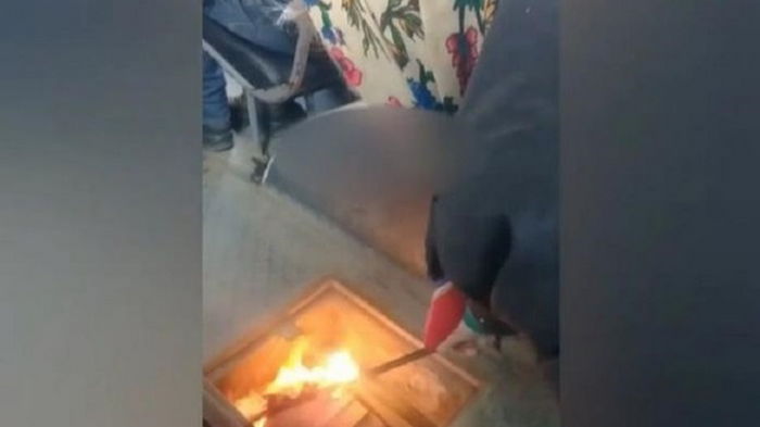 Водитель троллейбуса факелом отогревала двигатель (видео)