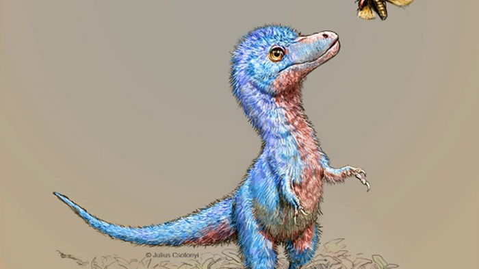 Ученые восстановили облик детенышей тиранозавров (фото)