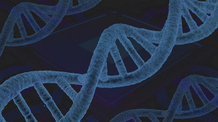 В геноме человека обнаружили новые гены, связанные с раком
