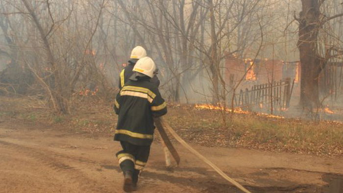 Лесные пожары изменили карту загрязнения Чернобыльской зоны – экологи
