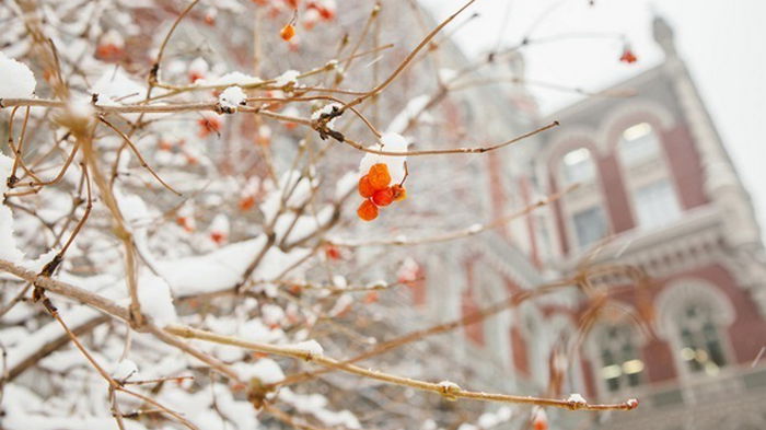Курсы валют на 1 февраля: гривна вернулась к росту
