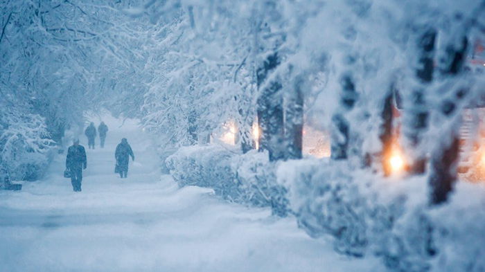 Погода в феврале: синоптик рассказал, когда Украину засыплет снегом