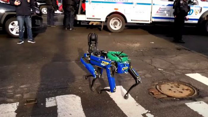 Полиция Нью-Йорка приняла в штат робопса от Boston Dynamics
