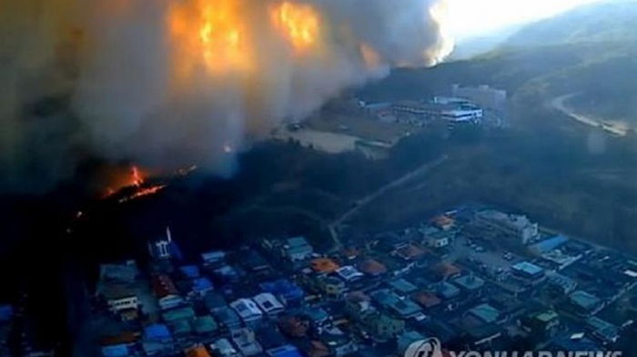 В Южной Корее вспыхнул масштабный лесной пожар