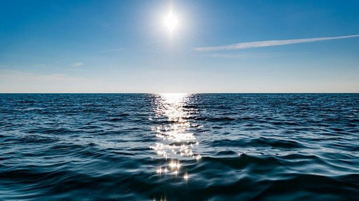 Мужчина выжил в открытом океане благодаря мусору