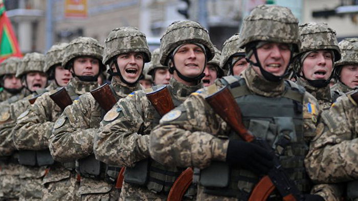 В украинской армии будут заниматься смешанными единоборствами