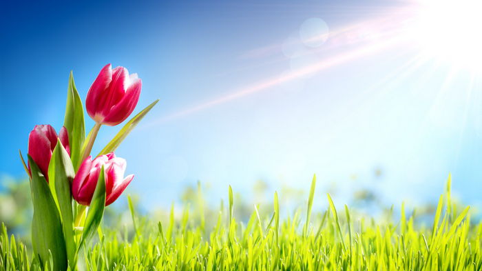 Прощеное воскресенье-2021: традиции дня