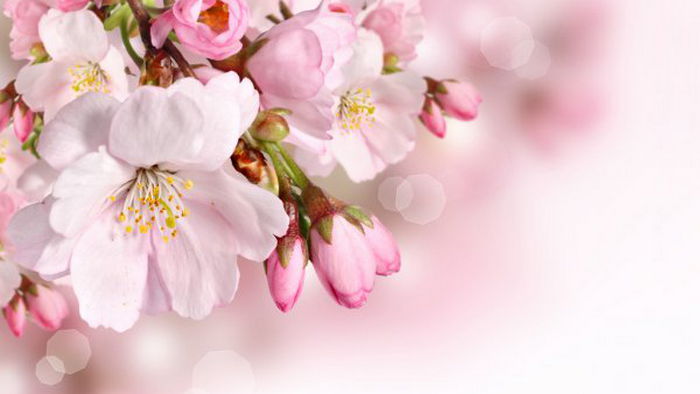 Гороскоп на неделю 28 марта – 3 апреля: все знаки зодиака