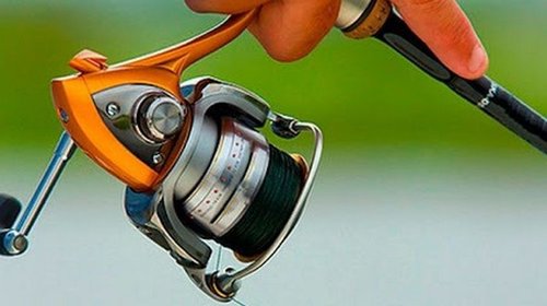 Правильный выбор спиннинговой катушки: на что обращать внимание при по