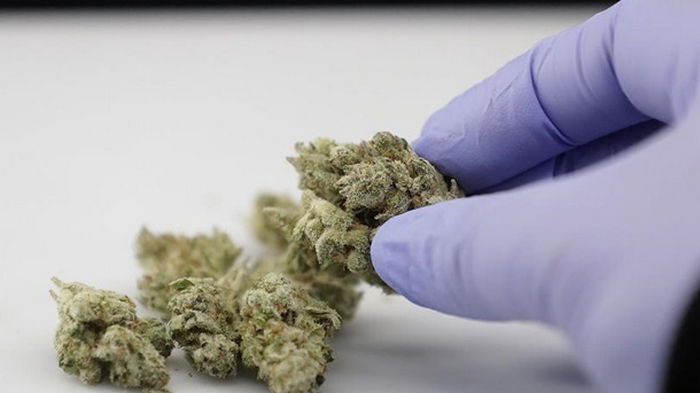 В Украине разрешили лекарства из каннабиса