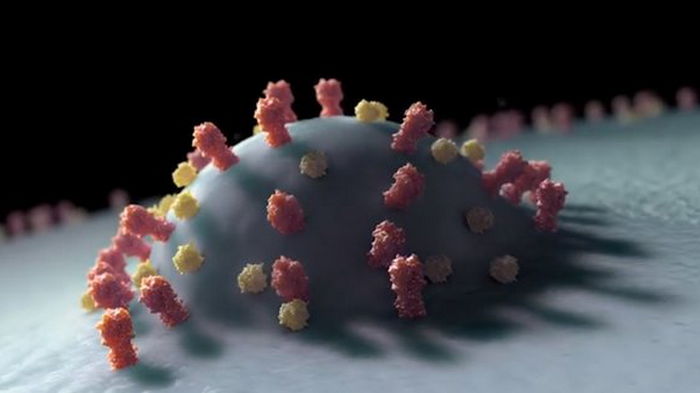 Вечной пандемии коронавируса не будет: хорошие новости о вакцинации против мутантов