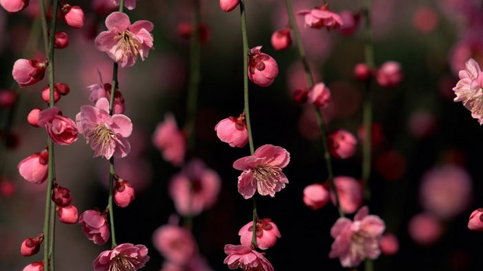 7 апреля: какой сегодня праздник, приметы и что нельзя делать