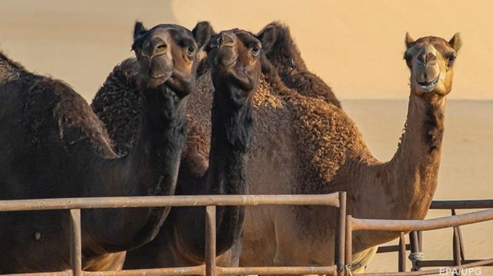 Украинцев предупредили о еще одном коронавирусе