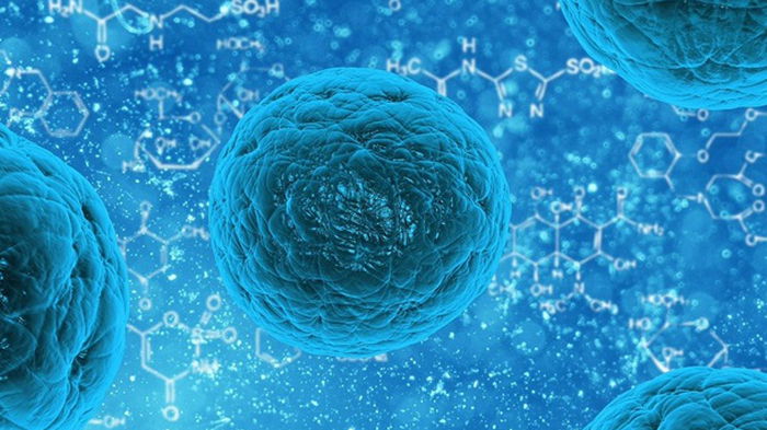 Исследователи синтезировали соединение, блокирующее раковые клетки